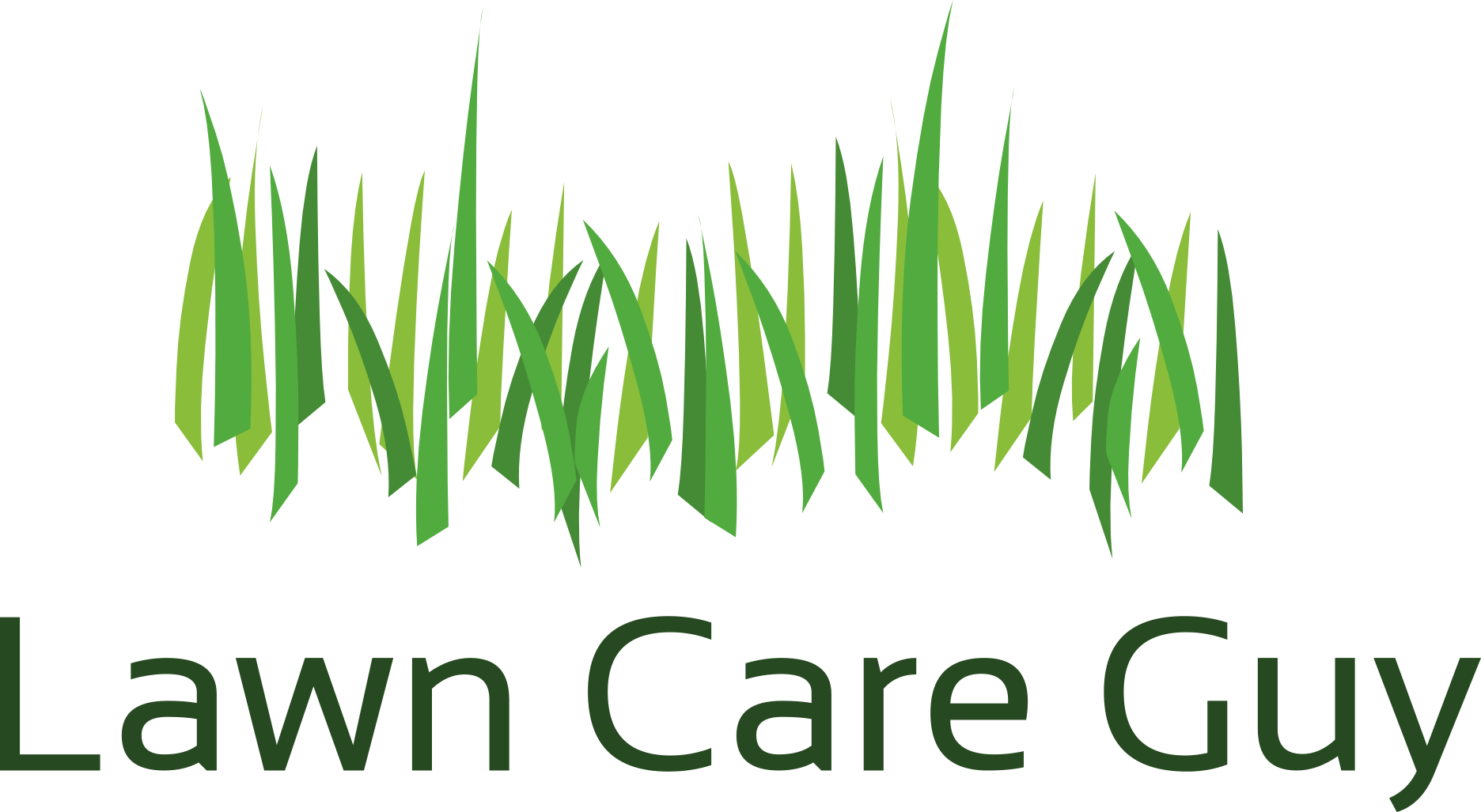 lawn Care lawn Scarification