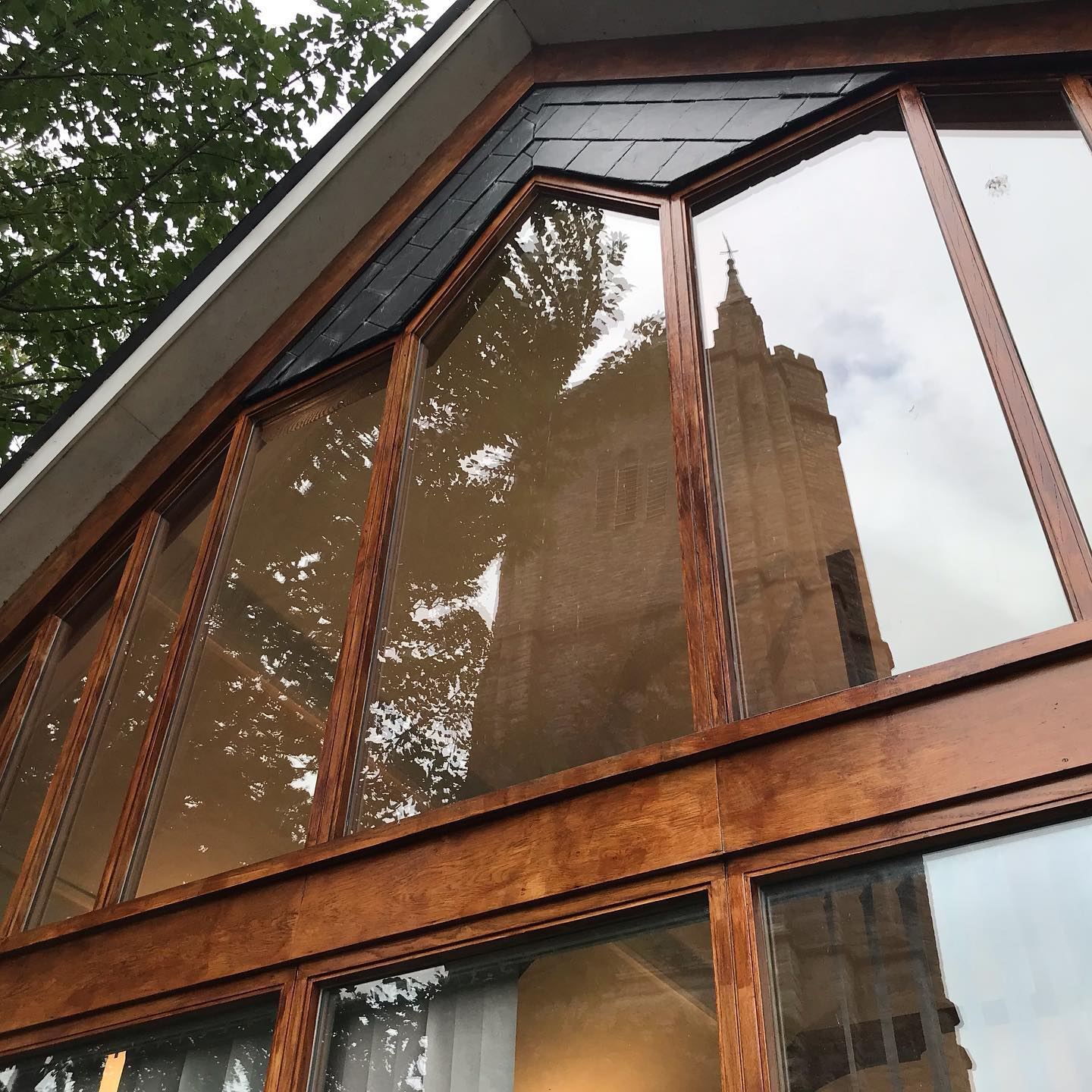 A rare photo taken by our team