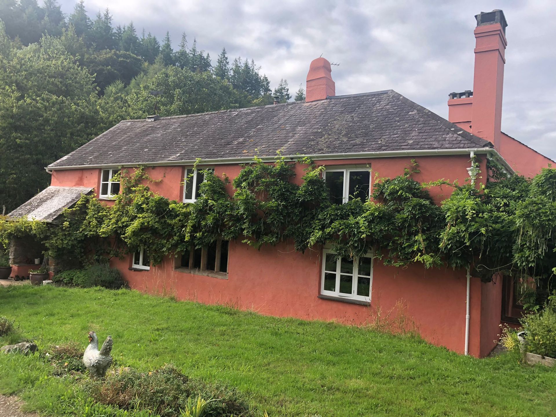 Trusted painter and decorator in Totnes Devon at work