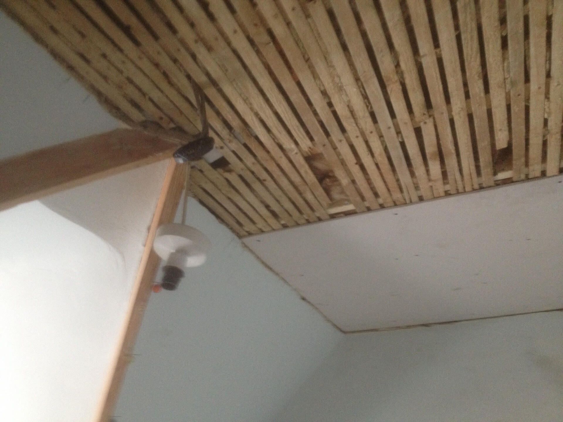 walls completely renovated in Paignton