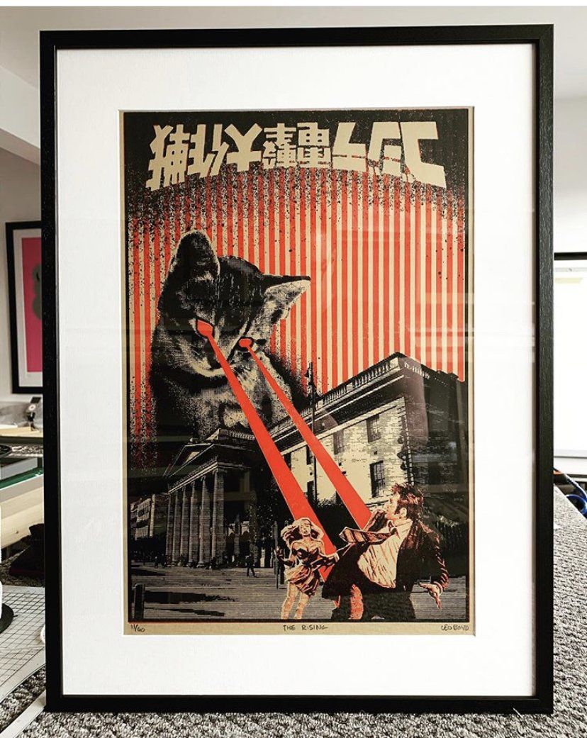 Belfast, Graffiti Art, Picture Framing, Framing, Cat, Limited Edition, Dublin, Gallery