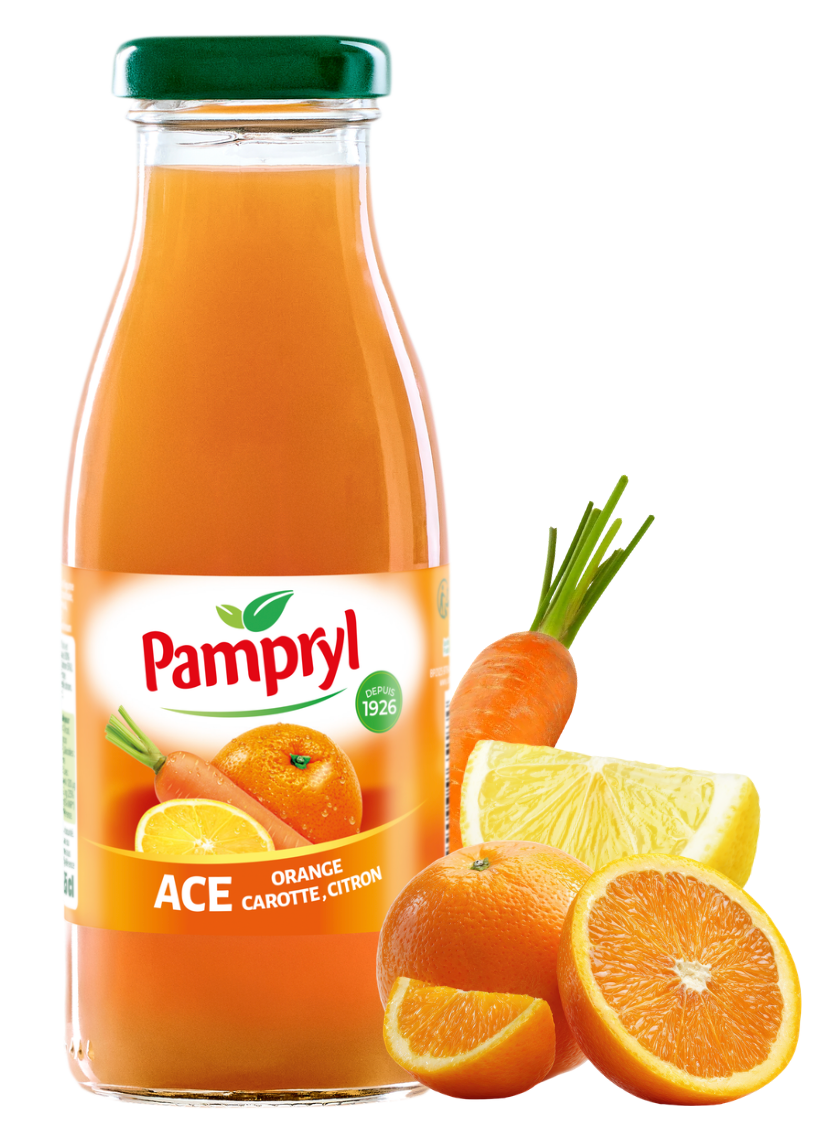 BANGA ice tea saveur pêche