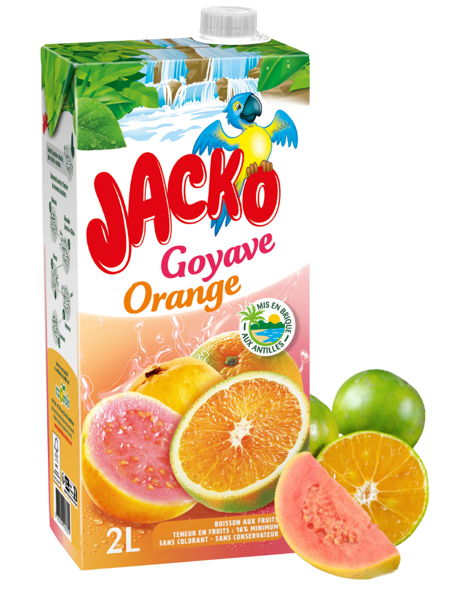 BANGA ice tea saveur pêche