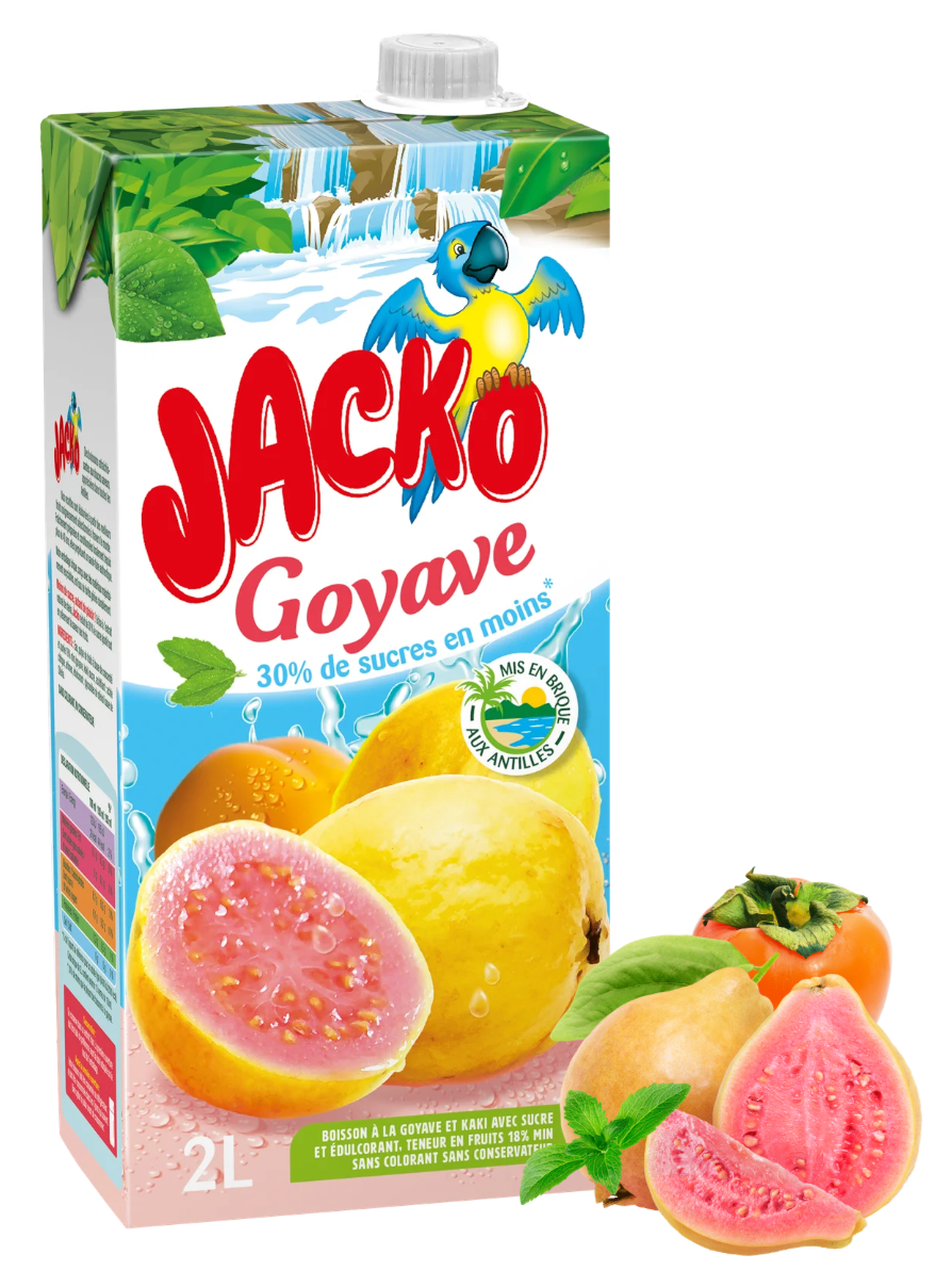BANGA ice tea saveur pêche