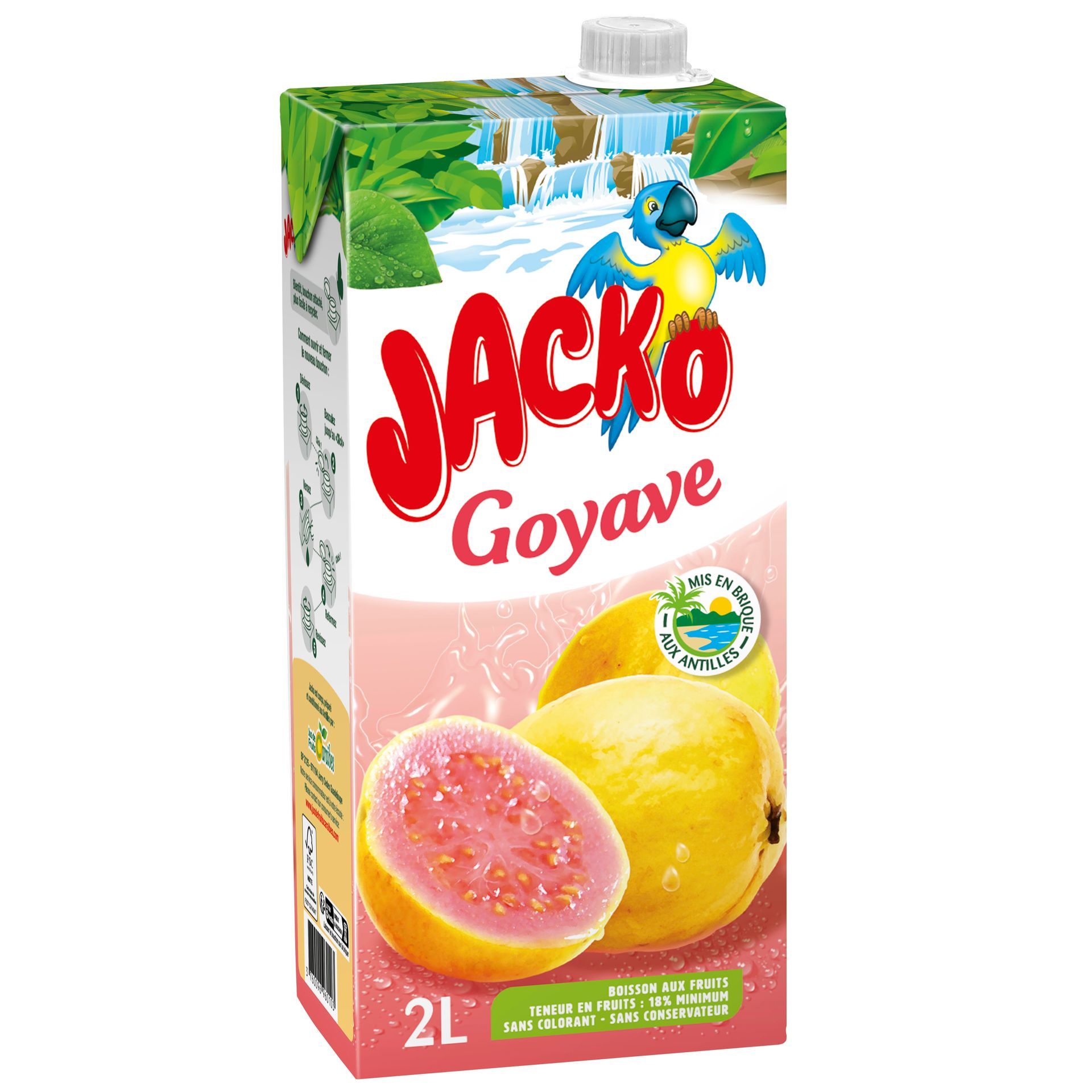 BANGA ice tea saveur pêche