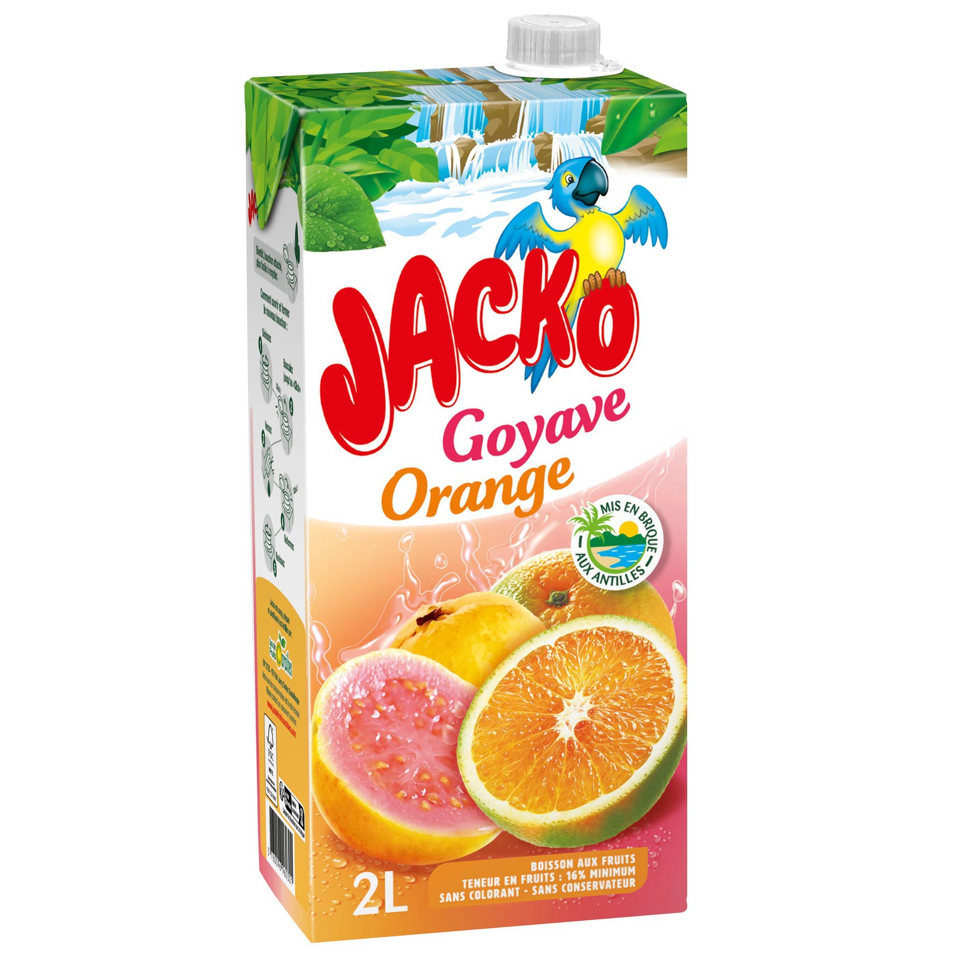 BANGA ice tea saveur pêche