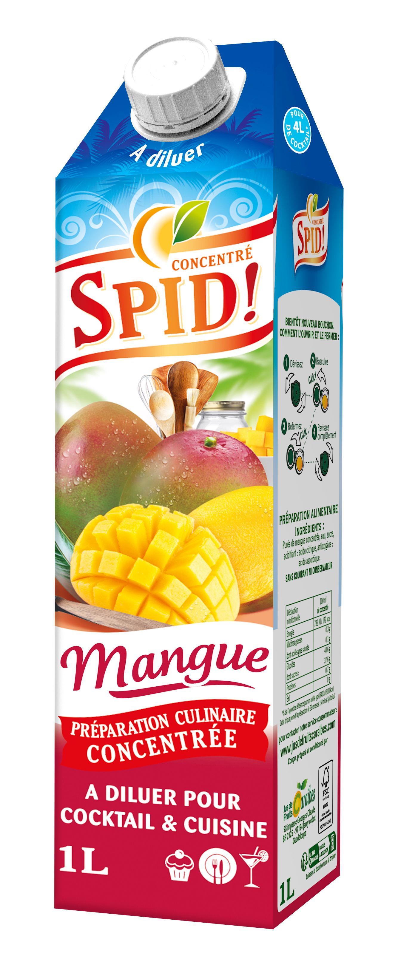 BANGA ice tea saveur pêche