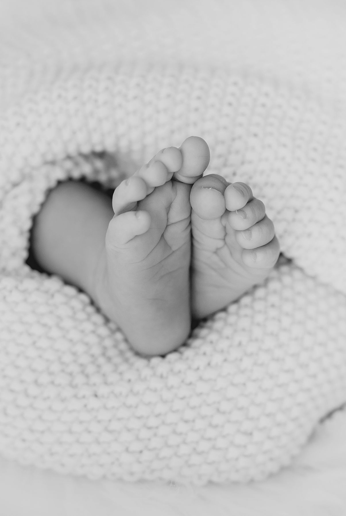 Anna Koethur Fotografin Newborn