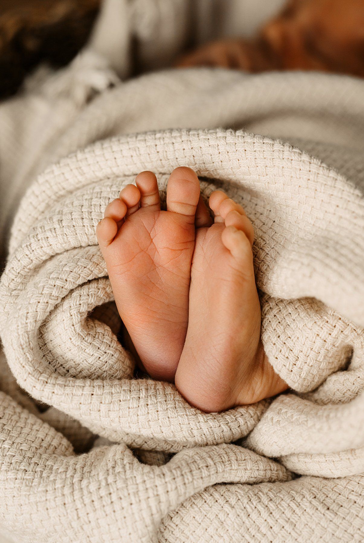 Anna Koethur Fotografin Newborn