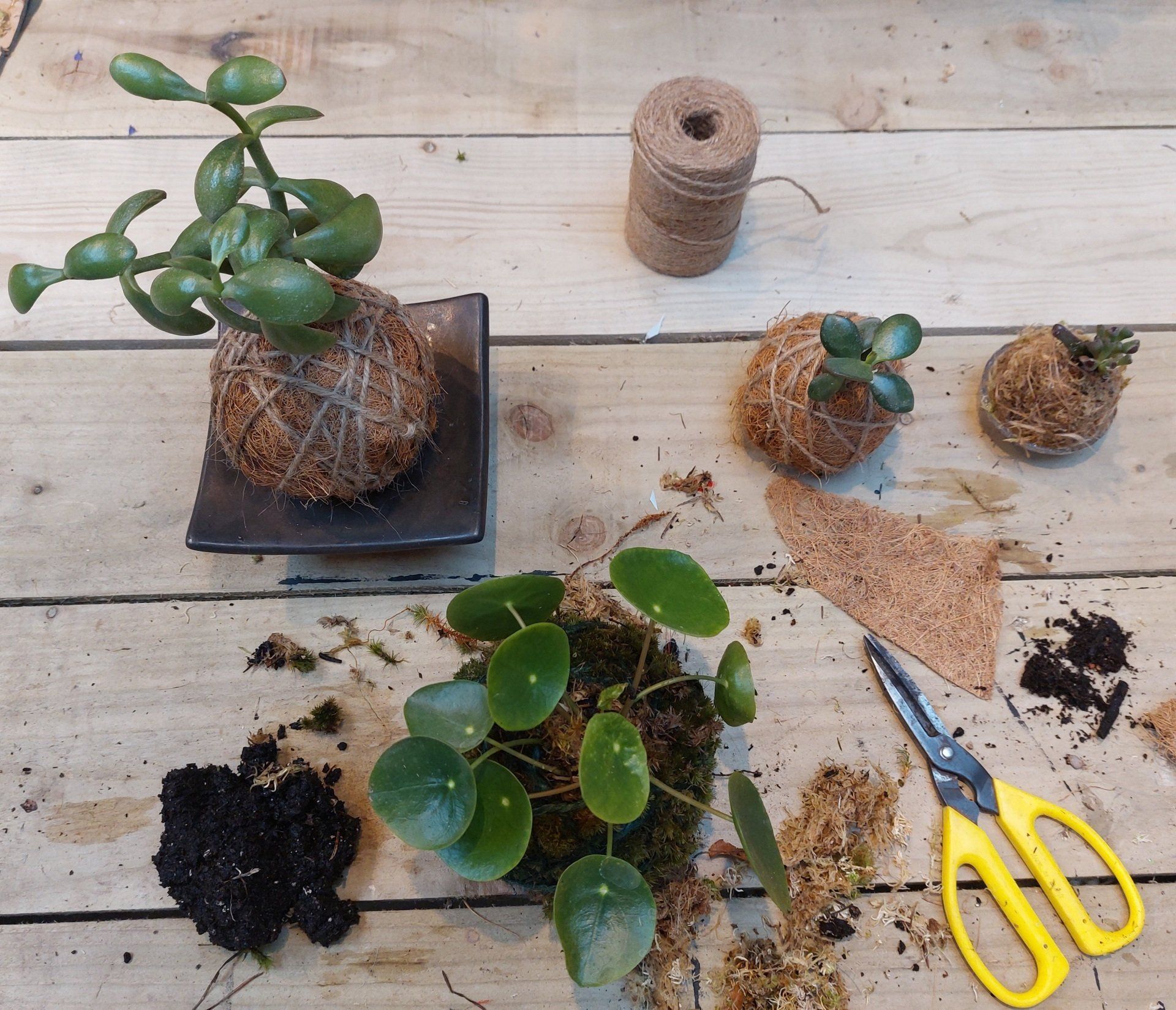 Cambridge Flower school
Botanical Workshops Cambridge
Cambridge Floristry Workshops
Sustainable Flower Workshops
Plant Workshops