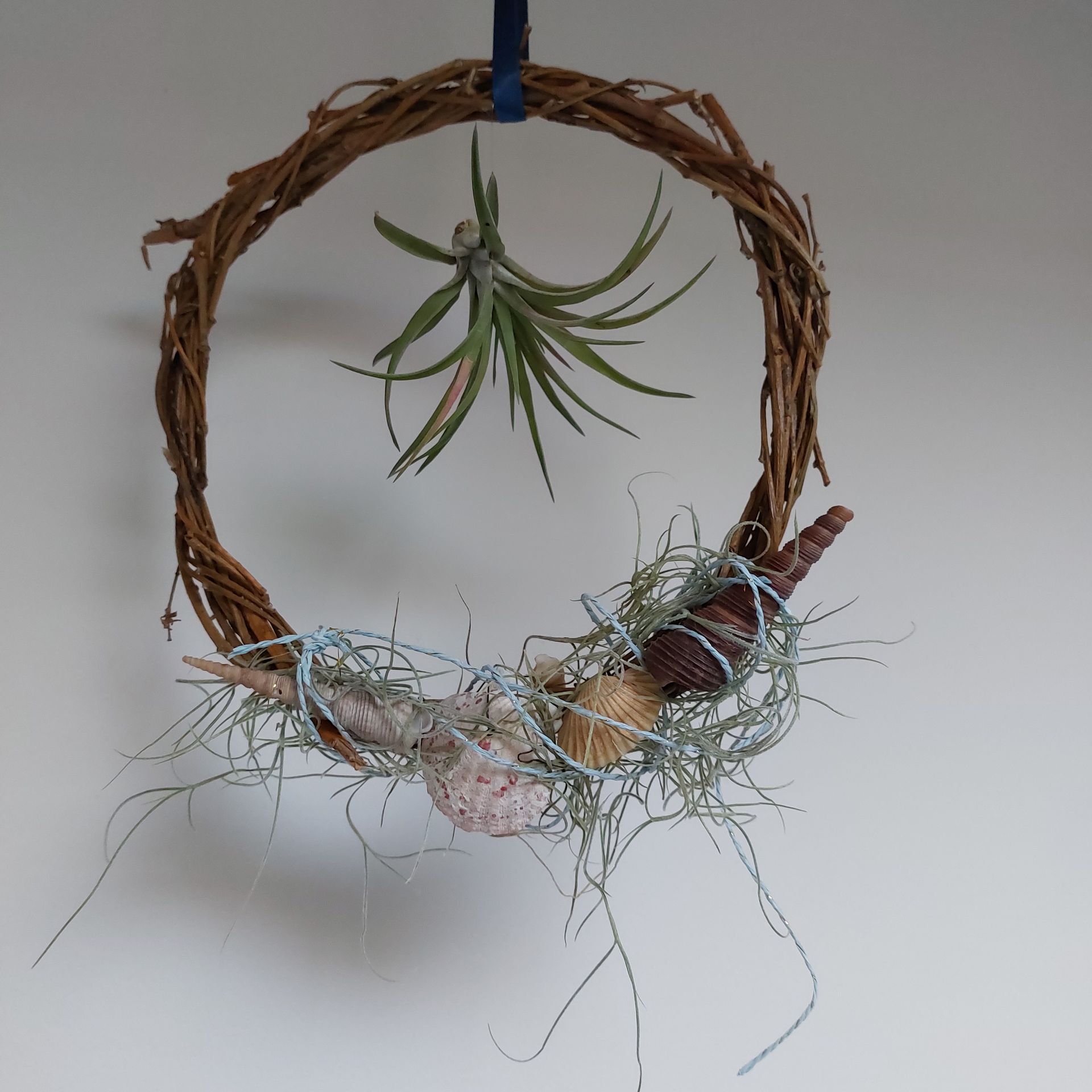 Cambridge Flower school
Botanical Workshops Cambridge
Cambridge Floristry Workshops
Sustainable Flower Workshops
Christmas Wreath Workshops
Cambridge Wreath Workshop
Cambridge Christmas Wreath
DIY Table Arrangement Boxes