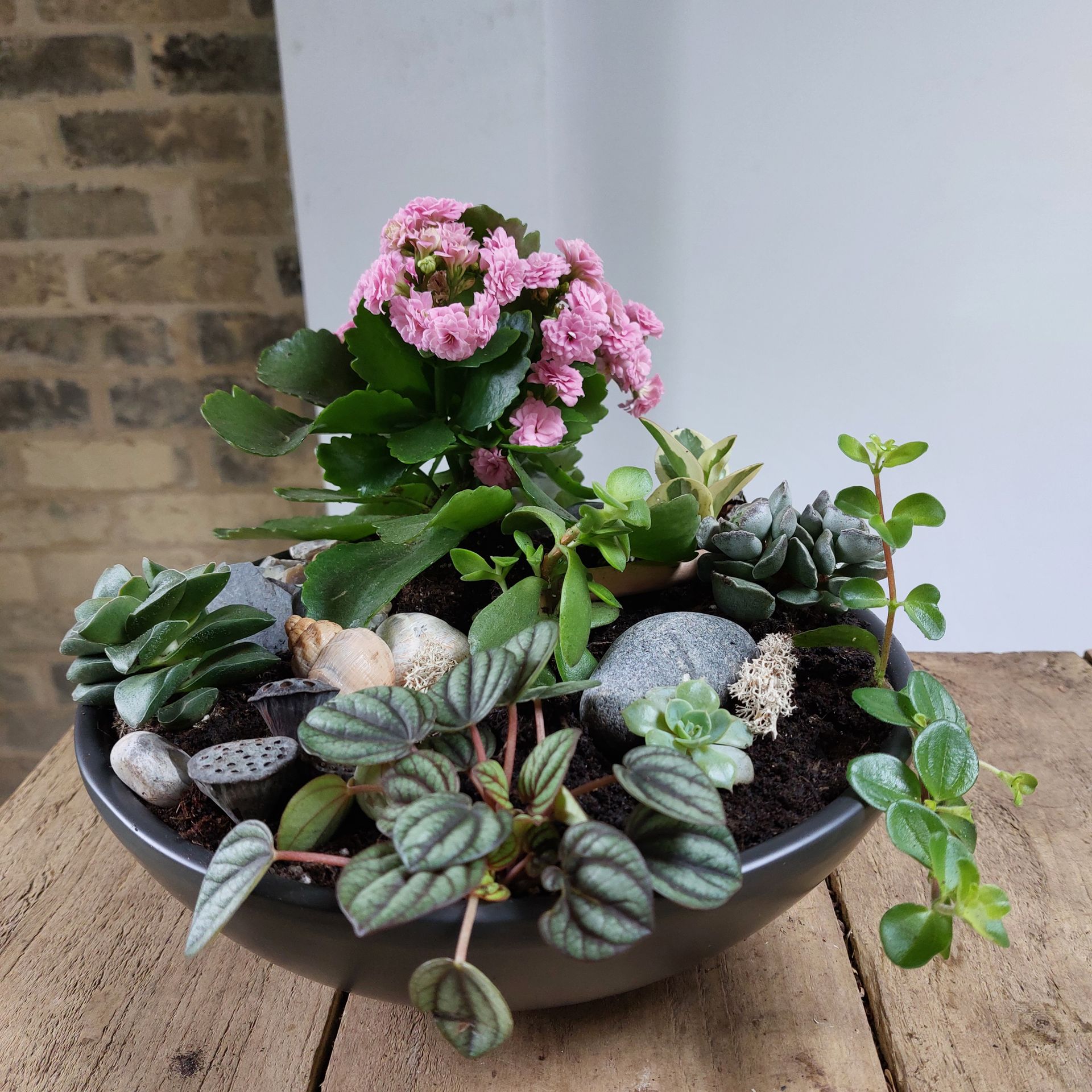 Cambridge Flower school
Botanical Workshops Cambridge
Cambridge Floristry Workshops
Sustainable Flower Workshops
