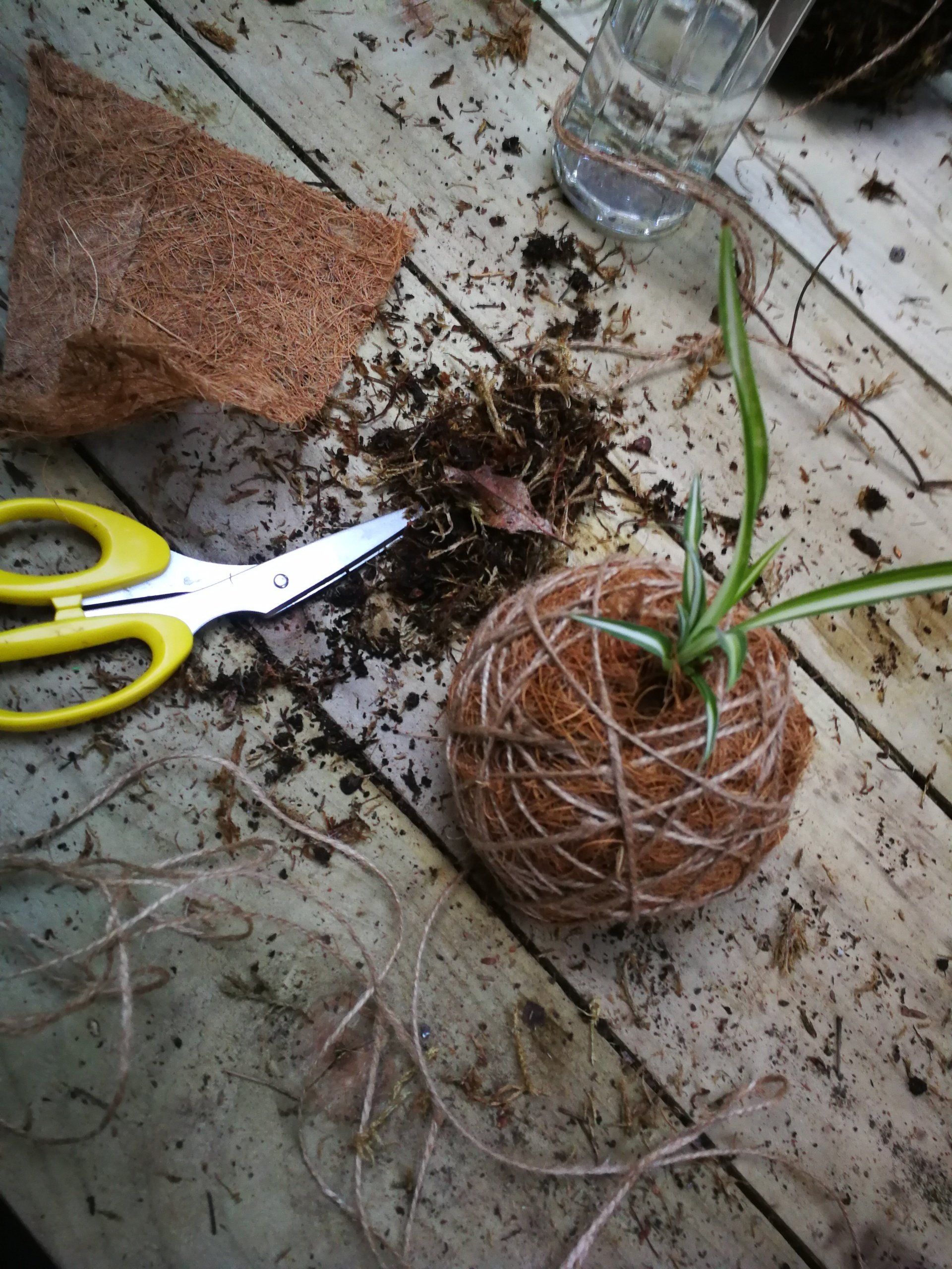 Cambridge Flower school
Botanical Workshops Cambridge
Cambridge Floristry Workshops
Sustainable Flower Workshops
Plant Workshops