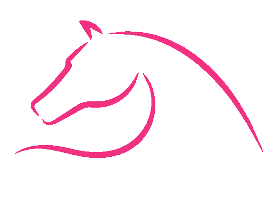JS Sattelservice