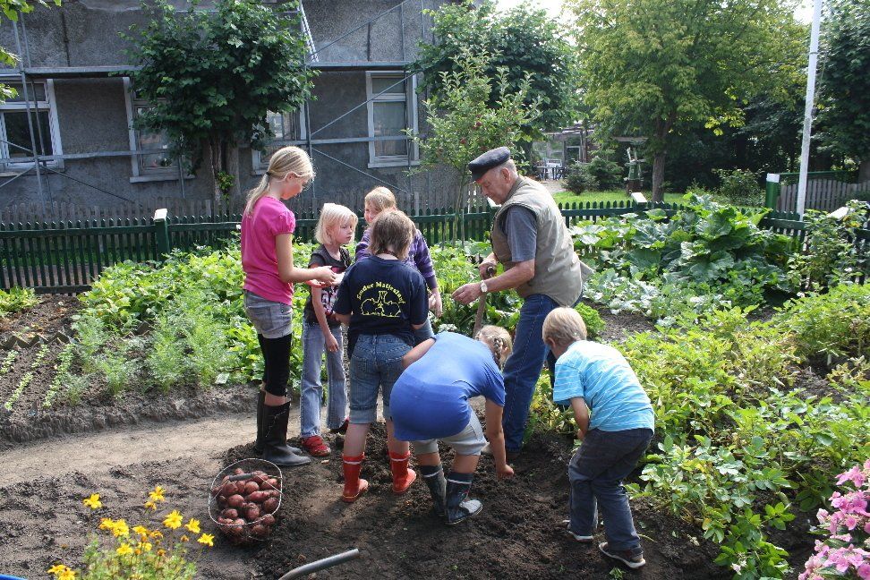 Schüler der GS Loppersum