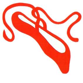Das Logo der Trixi-Ballett- und Musicalschule NRW