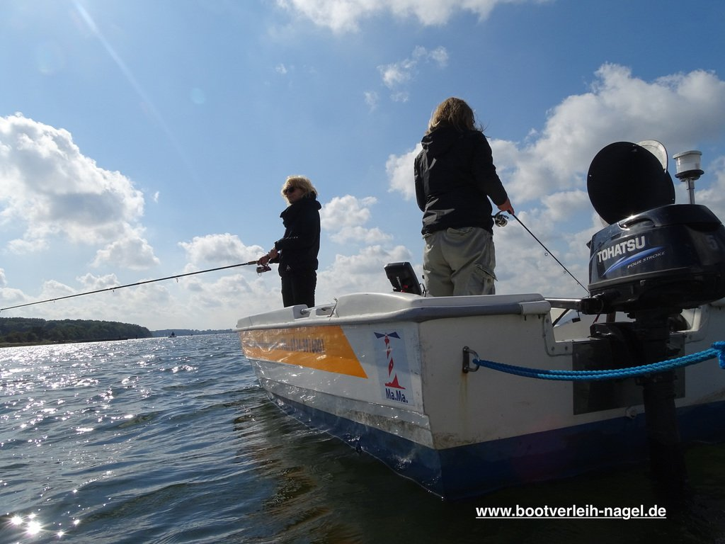 https://www.wassersport-stralsund.de