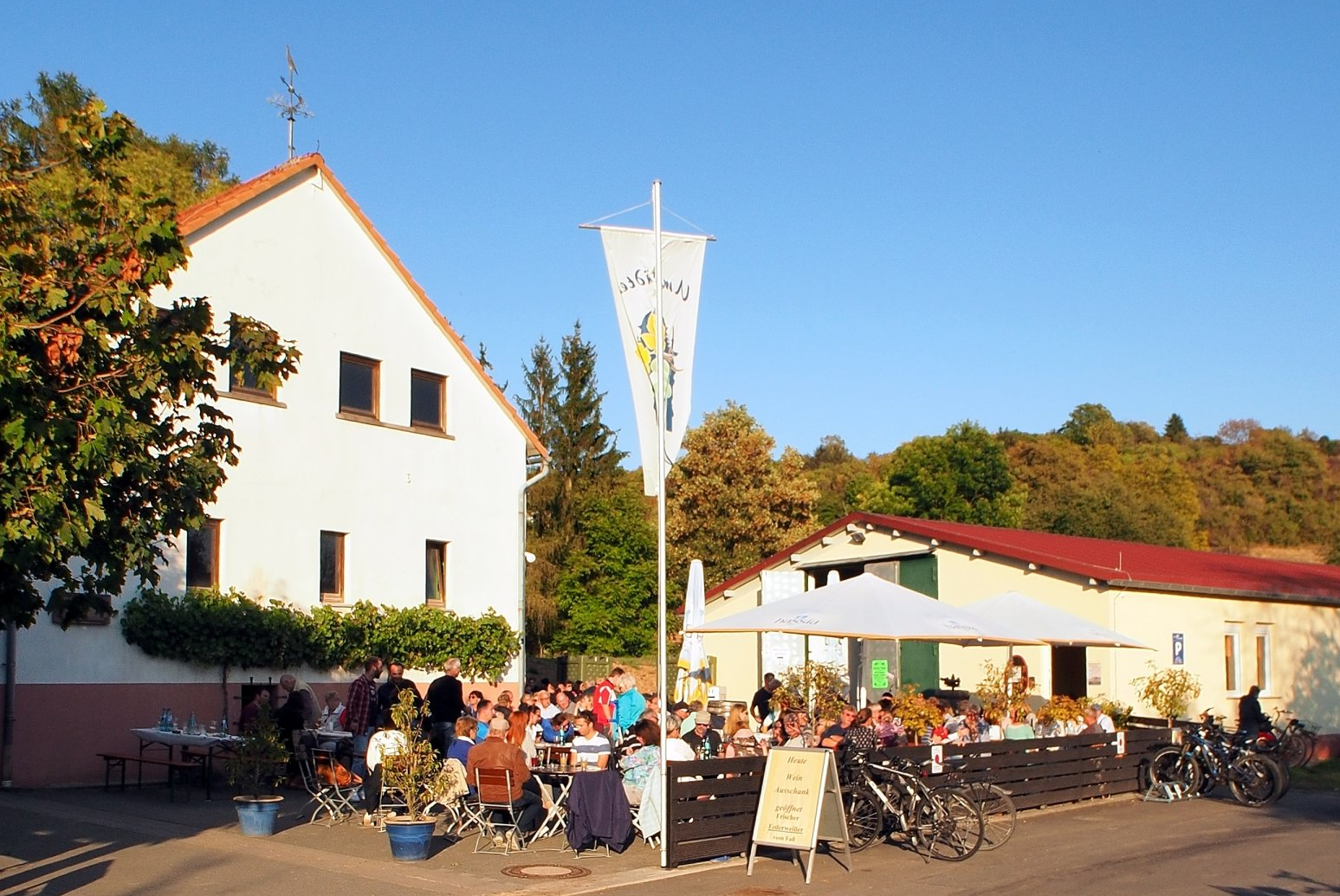 Straußwirtschaft Ausschank im Weingut Lohmühle Groß-Umstadt