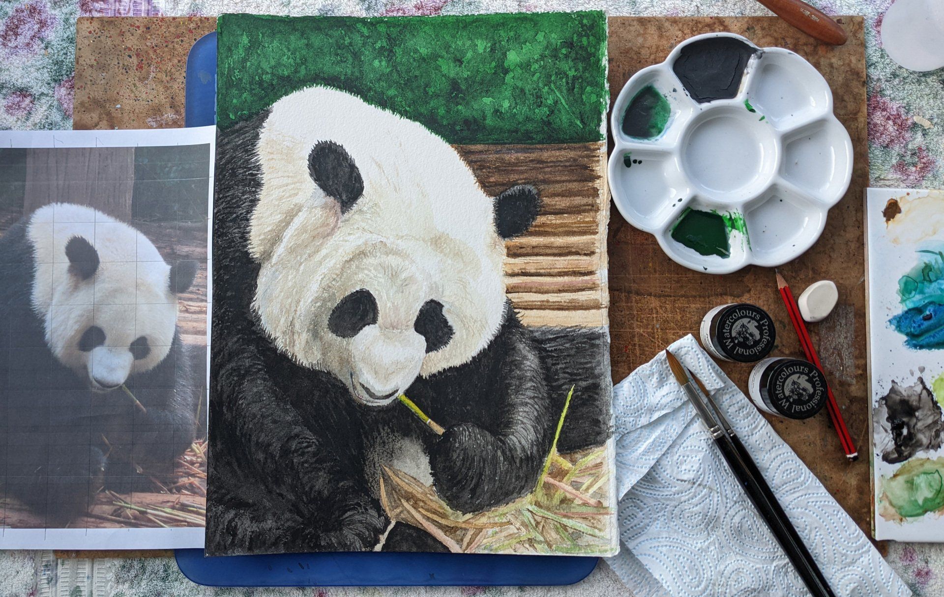 Stage 7, adding more detail to the Giant Panda's face. Painting a Giant Panda Feeding in watercolour, stage 7