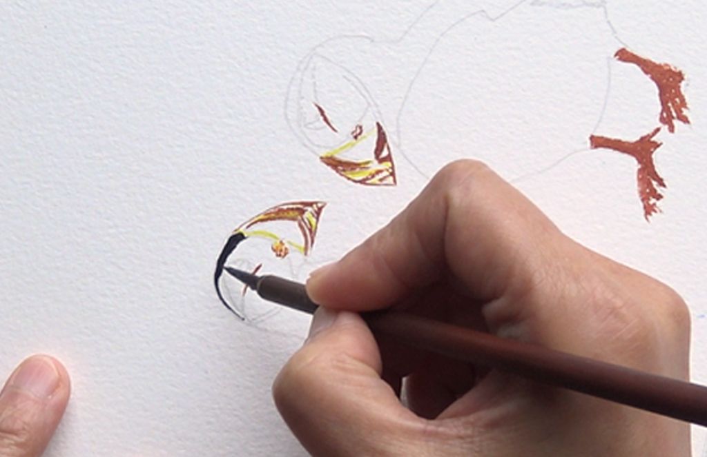 Painting in the details of the Puffins' beaks and feet, is a great way to start. Painting two puffins with A J Ludlow Professional Watercolour paints.