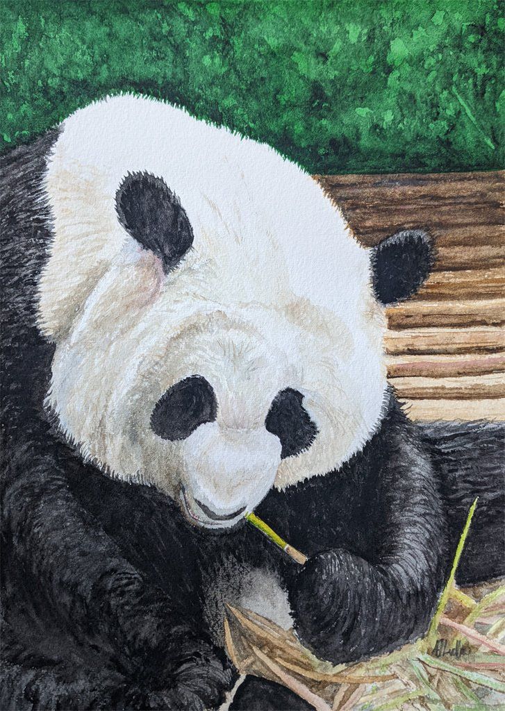 The finished watercolour painting,