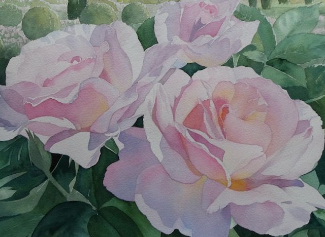 Watercolour painting of three pink flowers entitled “Hopton”, by Lesley Linley, using A J Ludlow Professional Watercolour paints