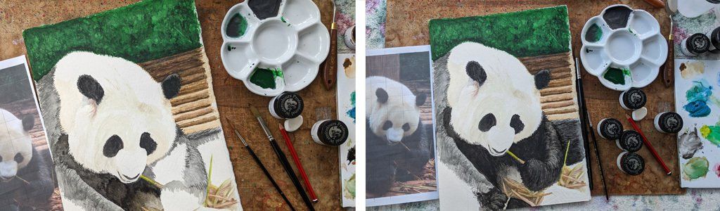 Stage 5 and 6, deepening the colour of the Giant Panda's black fur coat. Painting a Giant Panda Feeding in watercolour, stage 5 and 6
