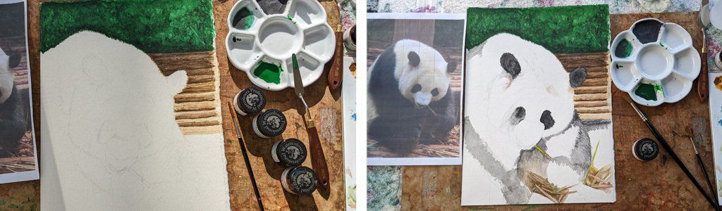 Stage 3 and 4, painting the background and starting to Painting a Giant Panda Feeding in watercolour, stage 3 and 4