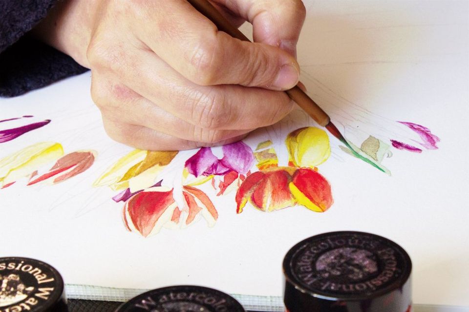 Meiru painting tulips with A J Ludlow's Professional Watercolour Meiru painting tulips with A J Ludlow's Professional Watercolour