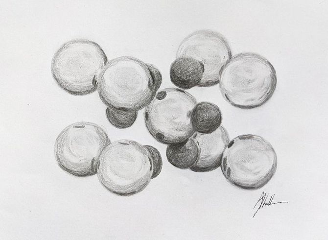 Rutile Crystal Structure Sketch of the Rutile Crystal Structure