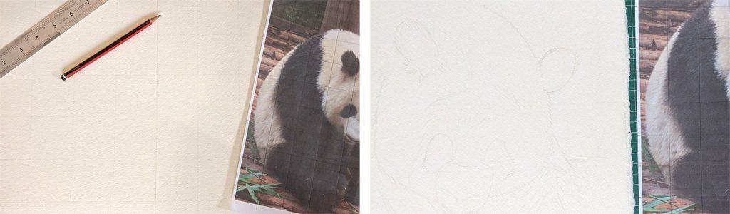 Painting a Giant Panda Feeding in watercolour, stage 1 and 2