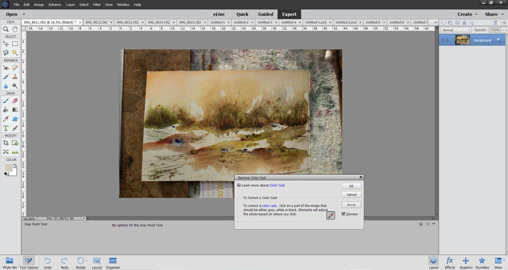 Using Adobe Photoshop Elements to adjust the image's colour Using Adobe Photoshop Elements to adjust the image's colour