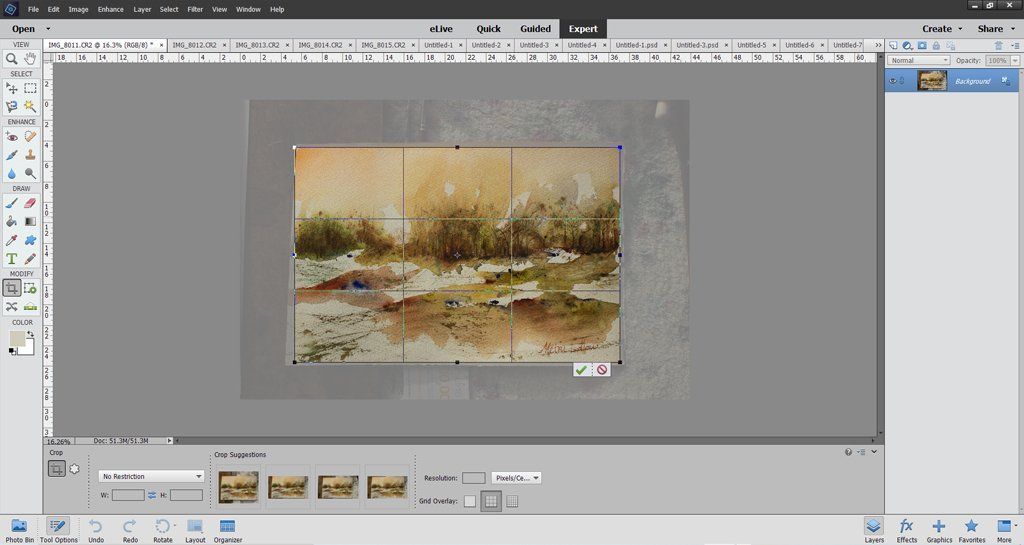 Using Adobe Photoshop Elements to crop the image Using Adobe Photoshop Elements to crop the image