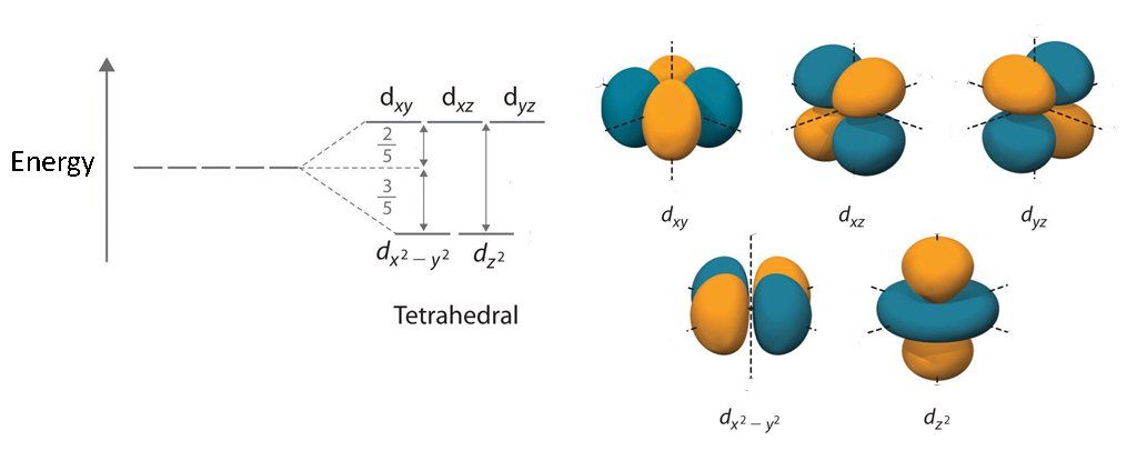 Crystal field split of a tetrahedral transition metal complex . Diagram showing crystal field split and transition metal d-orbitals