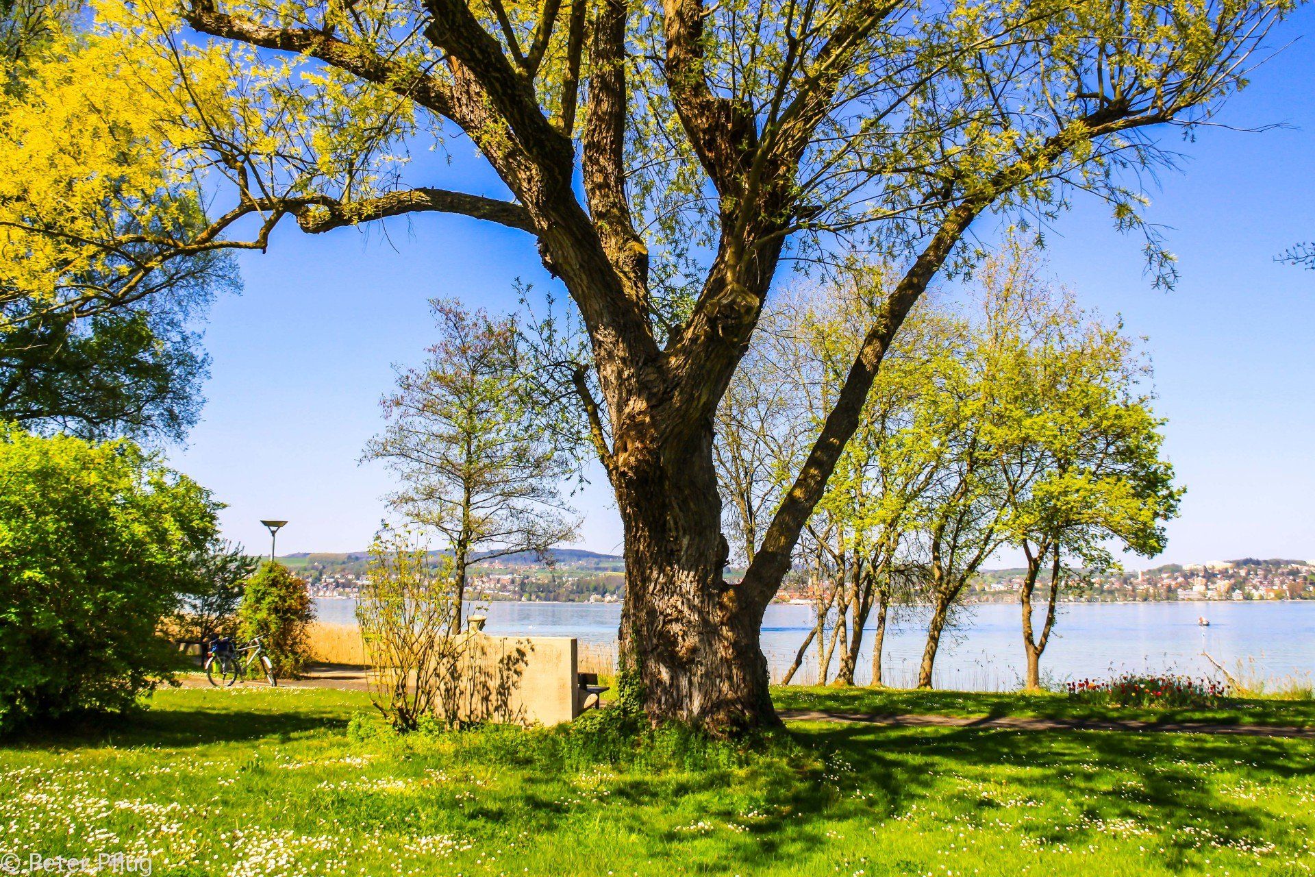 Konstanz Dingelsdorf