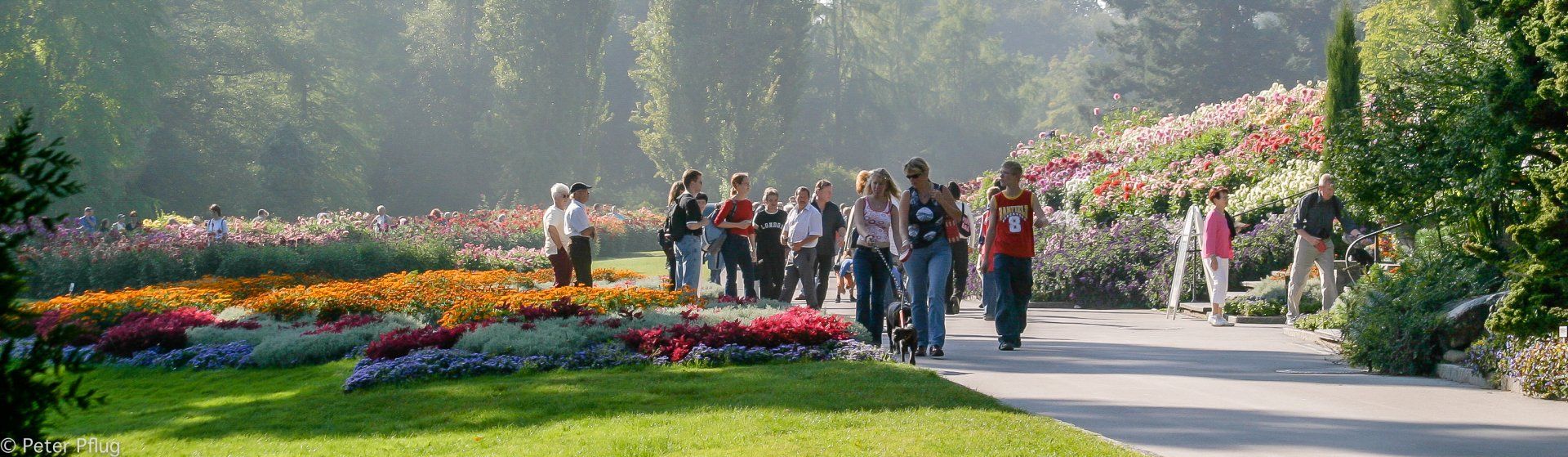 die Besucher strömen...
