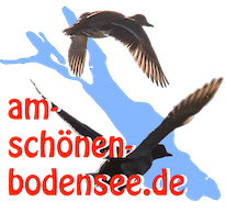 Wildenten über dem See