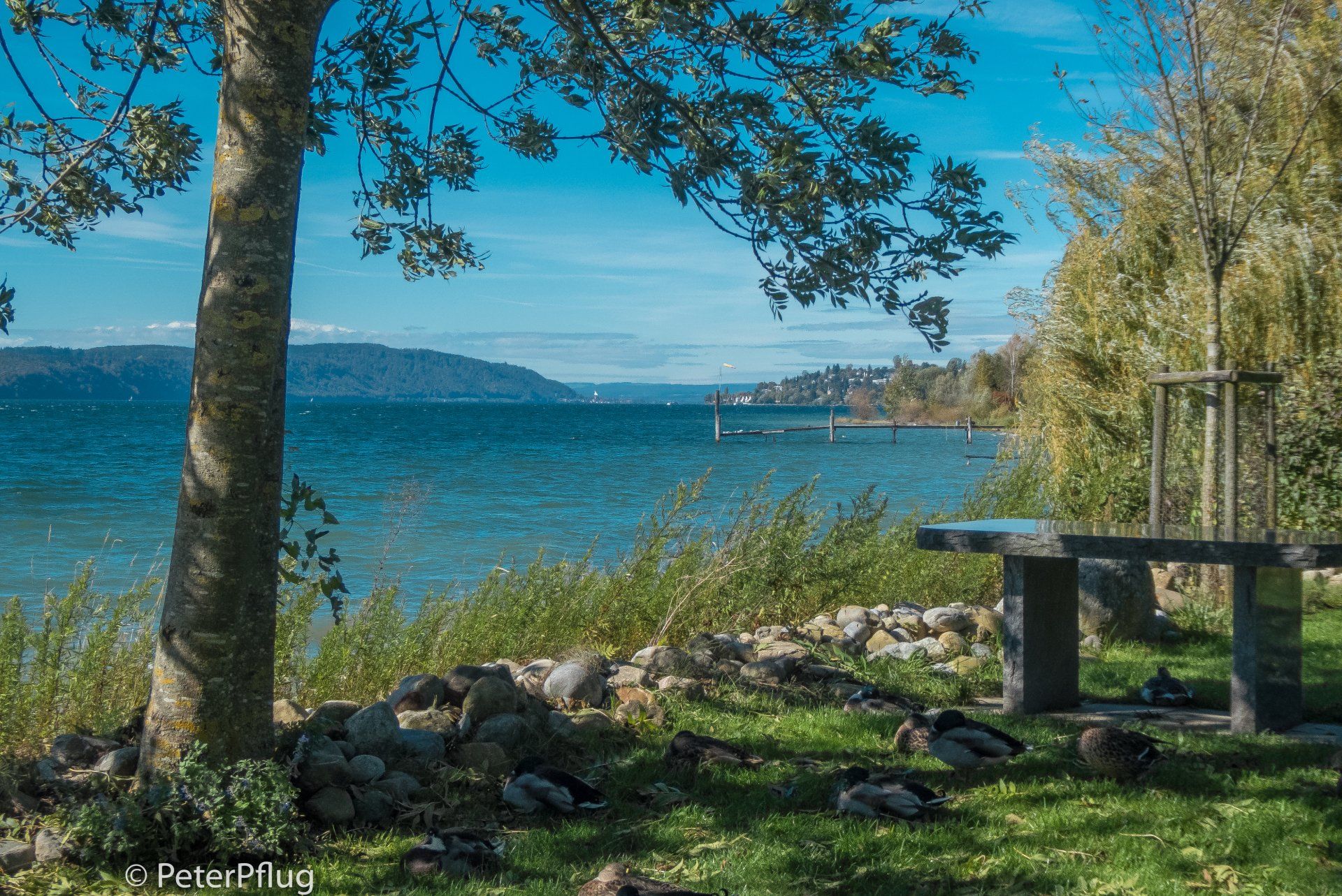 Blick von Nussdorf Richtung Bodman
