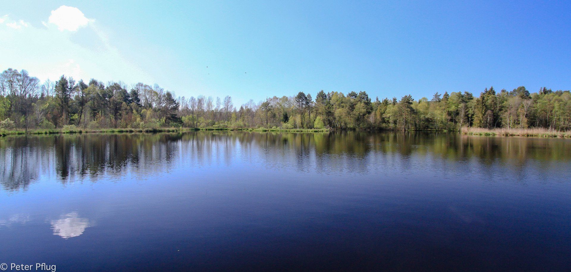 Pfrunger Ried Fünfecksee