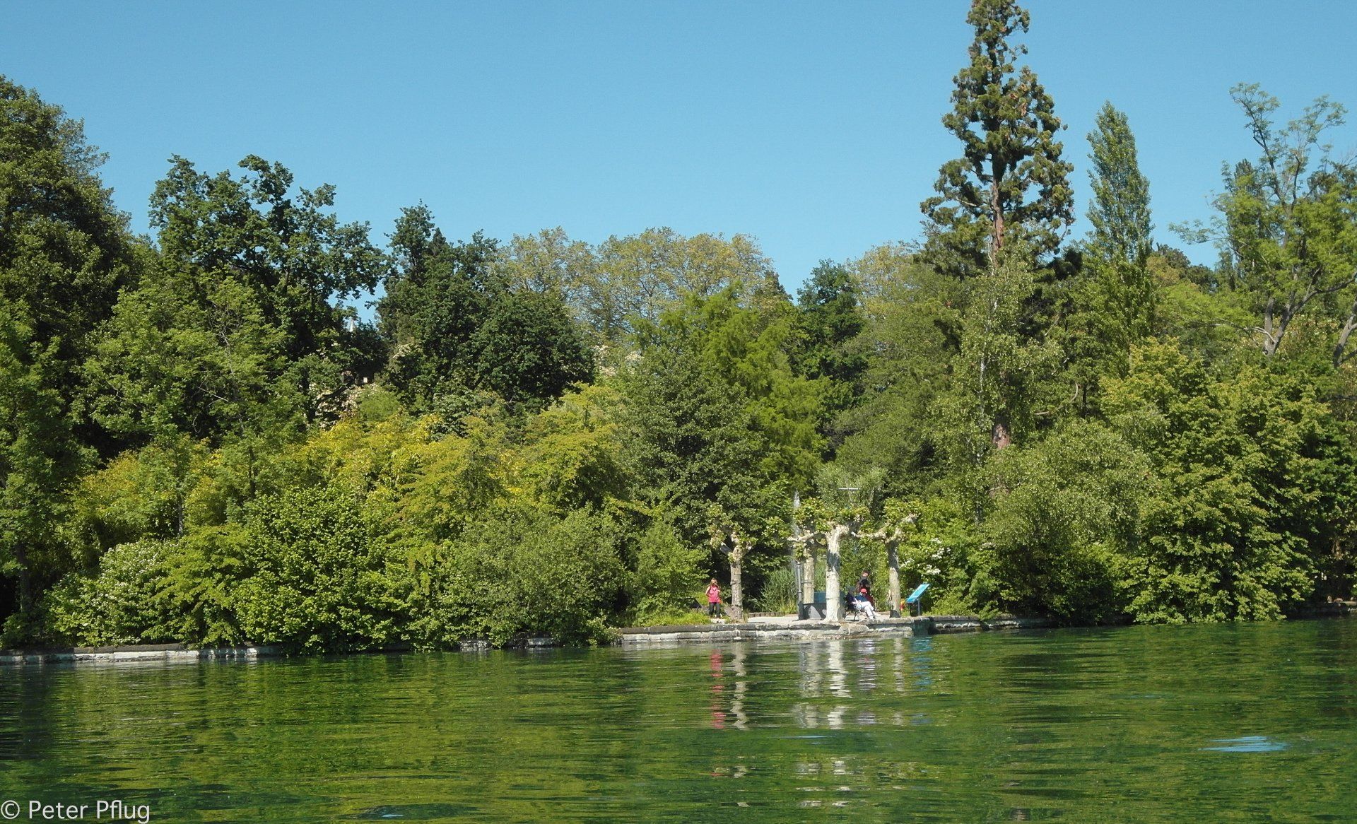 Mainau von der Seeseite