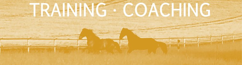 Sieben-Berge-Pferde-Logo Sieben-Berge-Pferde-Logo