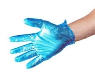 Disposable Vinyl Gloves Disposable Vinyl Gloves