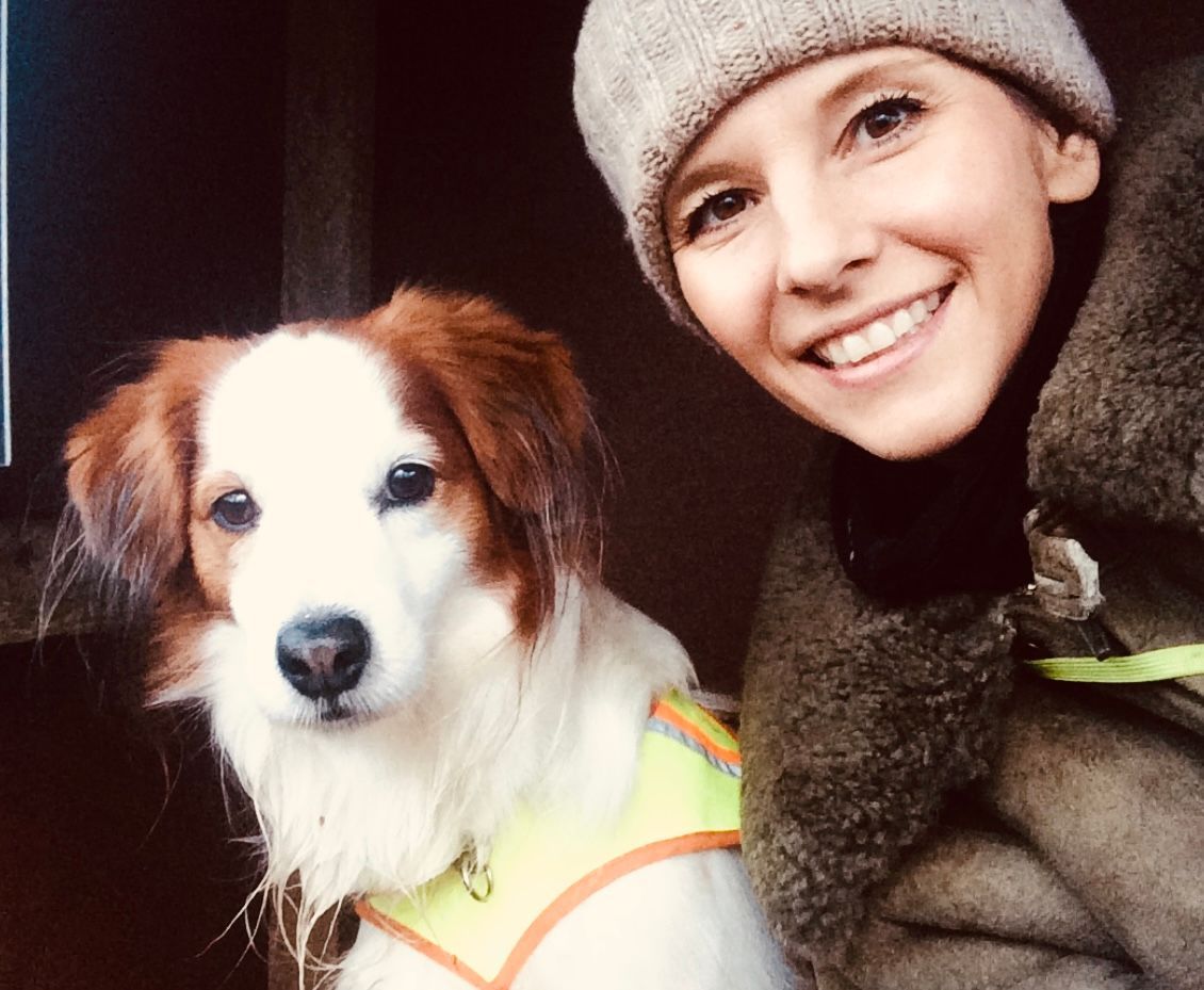 HUNDEZEITKOELN l Ueber uns