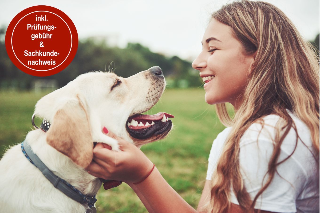 Training für Mensch & Hund HUNDEZEITKOELN l Der Sachkundenachweis Online NRW