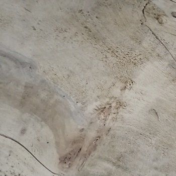 Cèdre du Liban vieilli, bois aromatique souvent utilisé pour des meubles orientaux et dressings