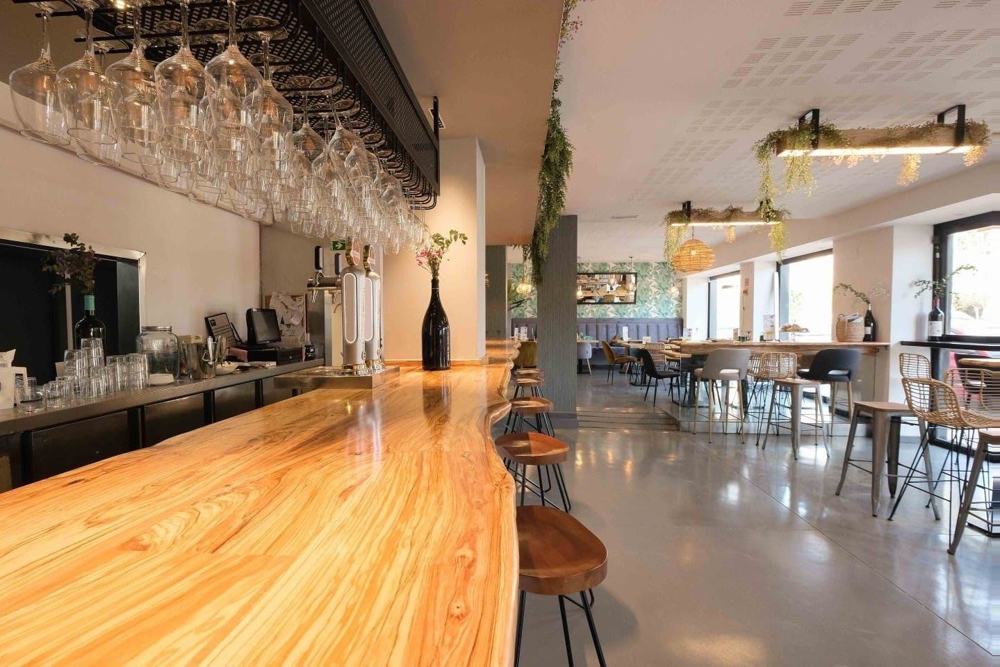 Grand comptoir professionnel sur mesure en bois. Olivier massif.