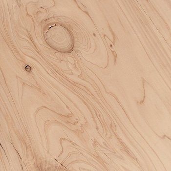 Vignette du cyprès, bois léger et odorant employé en rangements et armoires