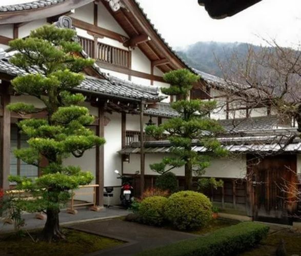 Mange debout bois brut