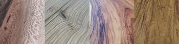 Toutes nos essences de bois