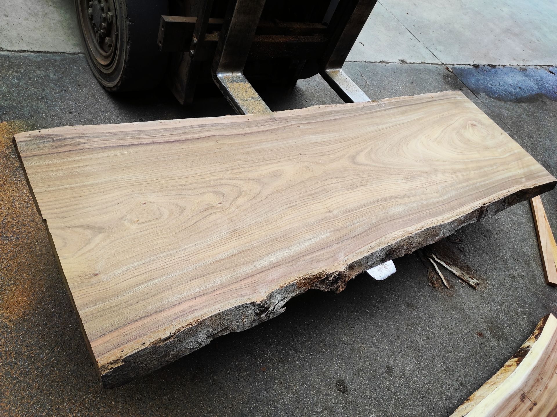 Grand plateau de bois naturel massif idéal pour fabrication de table extérieure sur mesure